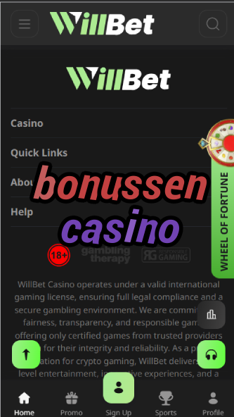 Bonussen Casino - Dutch Casino Bonus Offers-casinoorder.vip